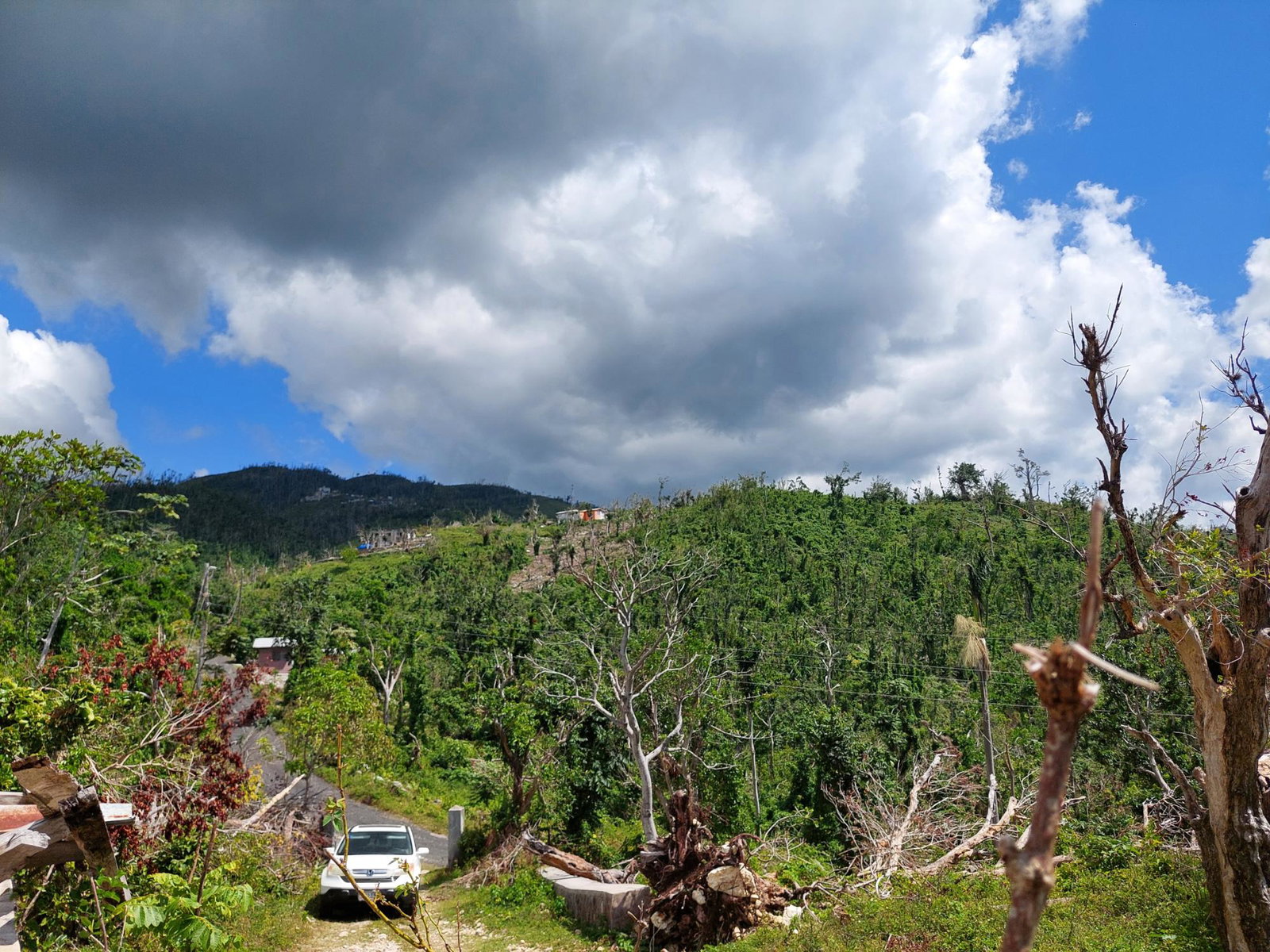 Fifth image of Cave Mountain, Cedar Vall in Cave Mountain, Westmoreland, Jamaica - property is For Sale