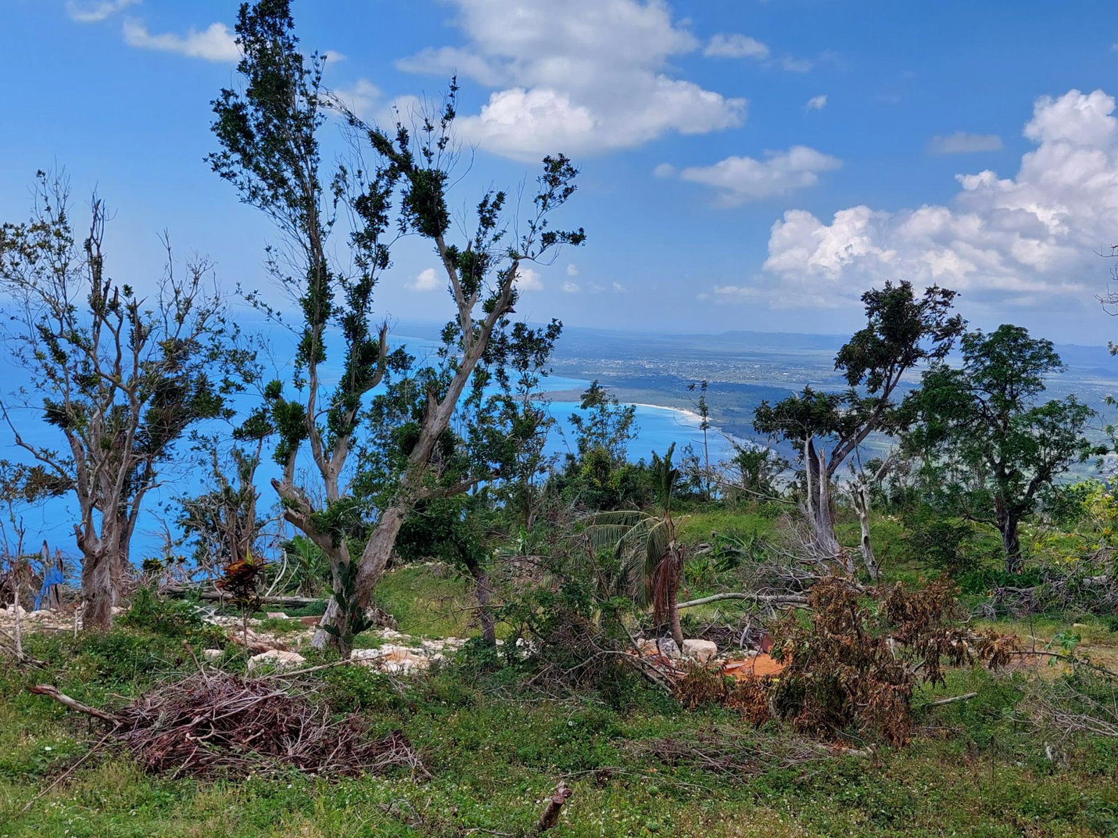 Sixth image of Cave Mountain, Cedar Vall in Cave Mountain, Westmoreland, Jamaica - property is For Sale