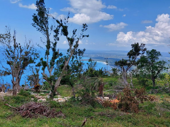 Sixth image of Cave Mountain, Cedar Vall in Cave Mountain, Westmoreland, Jamaica - property is For Sale