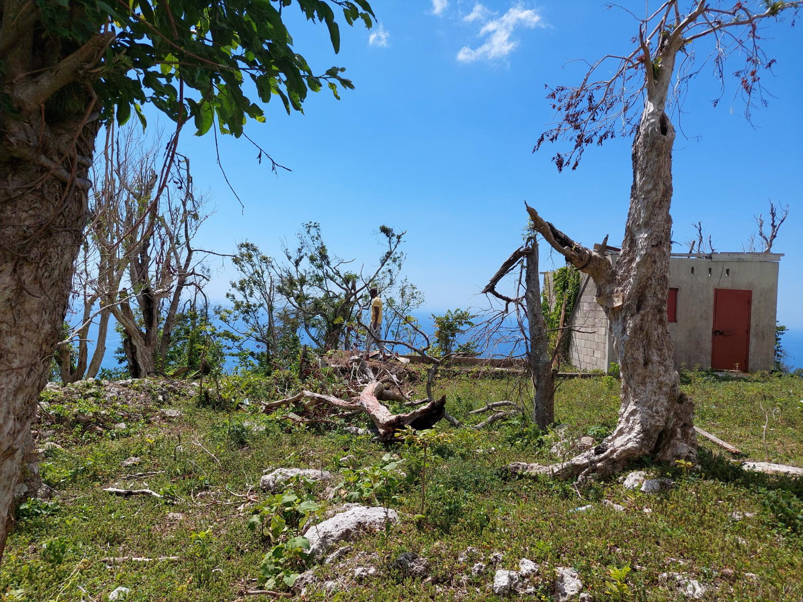 Seventh image of Cave Mountain, Cedar Vall in Cave Mountain, Westmoreland, Jamaica - property is For Sale