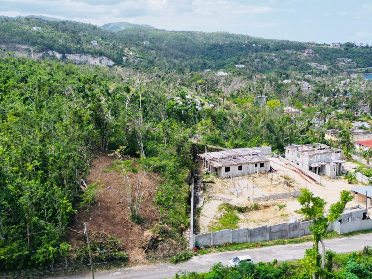 Eleventh image of Unity Hall in Unity Hall, St. James, Jamaica - property is For Sale