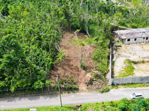 Third image of Unity Hall in Unity Hall, St. James, Jamaica - property is For Sale