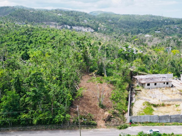 Fourth image of Unity Hall in Unity Hall, St. James, Jamaica - property is For Sale