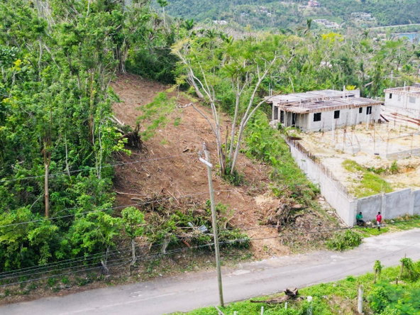 Fifth image of Unity Hall in Unity Hall, St. James, Jamaica - property is For Sale
