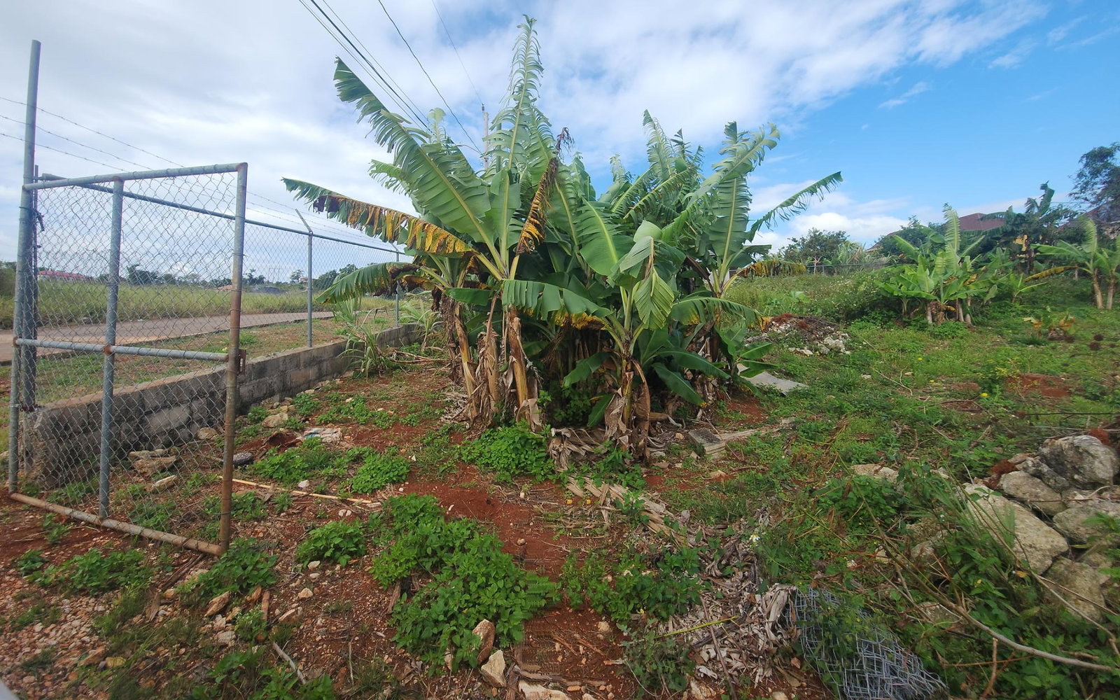 First image of 53 Avondale Heights in Cedar Grove, Manchester, Jamaica - property is For Sale