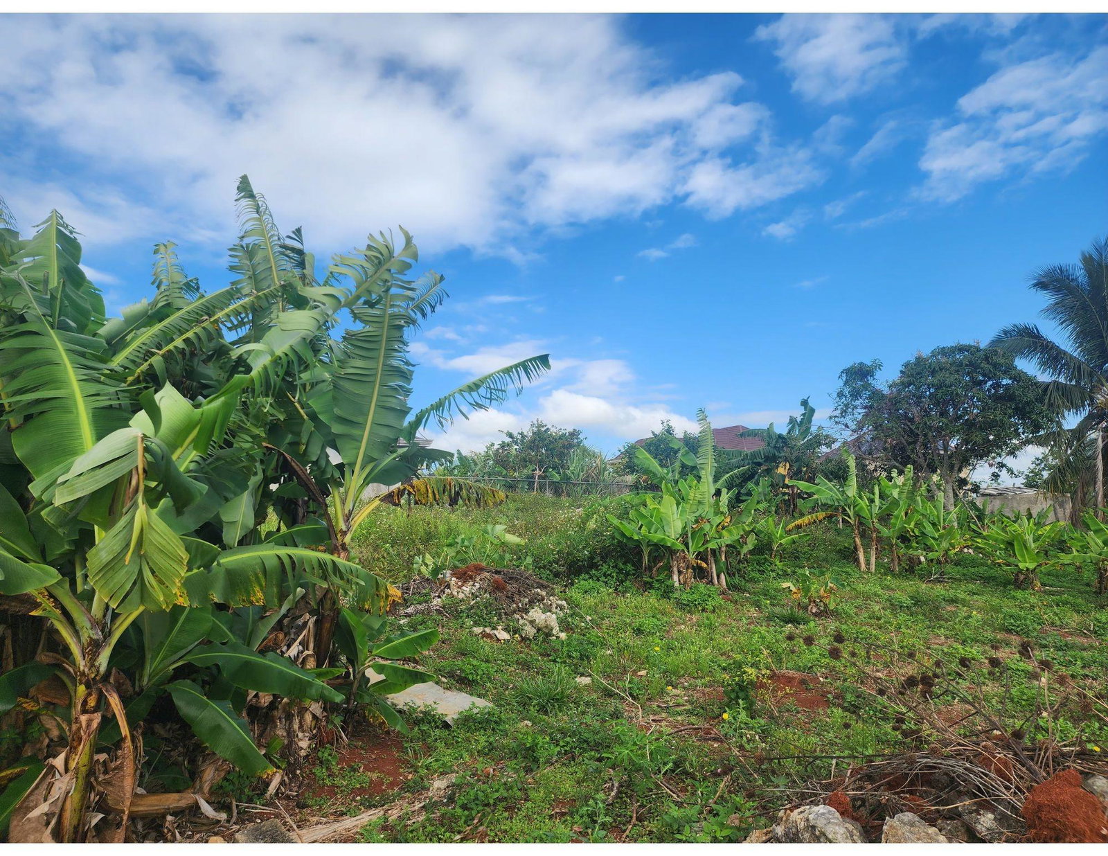 Third image of 53 Avondale Heights in Cedar Grove, Manchester, Jamaica - property is For Sale