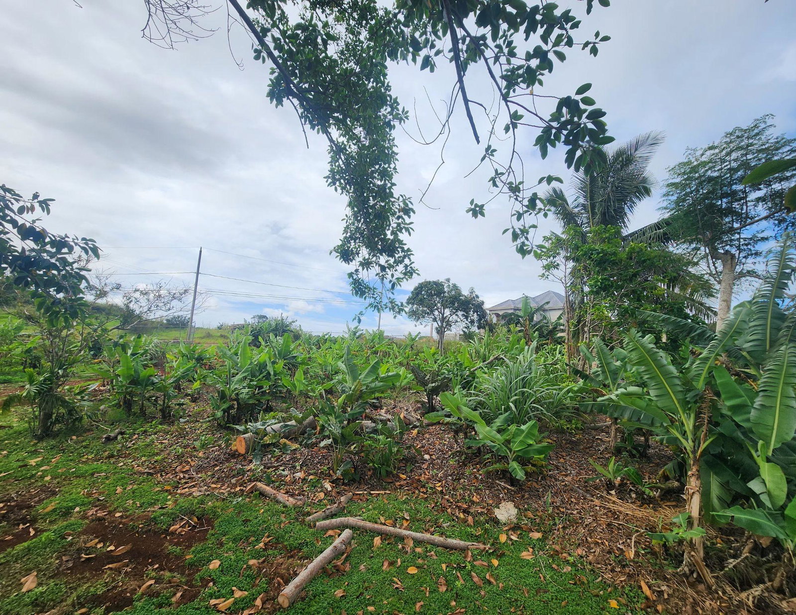 Fourth image of 53 Avondale Heights in Cedar Grove, Manchester, Jamaica - property is For Sale