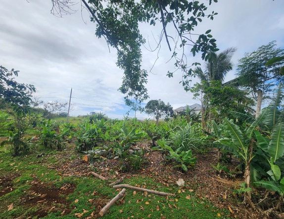 Fourth image of 53 Avondale Heights in Cedar Grove, Manchester, Jamaica - property is For Sale