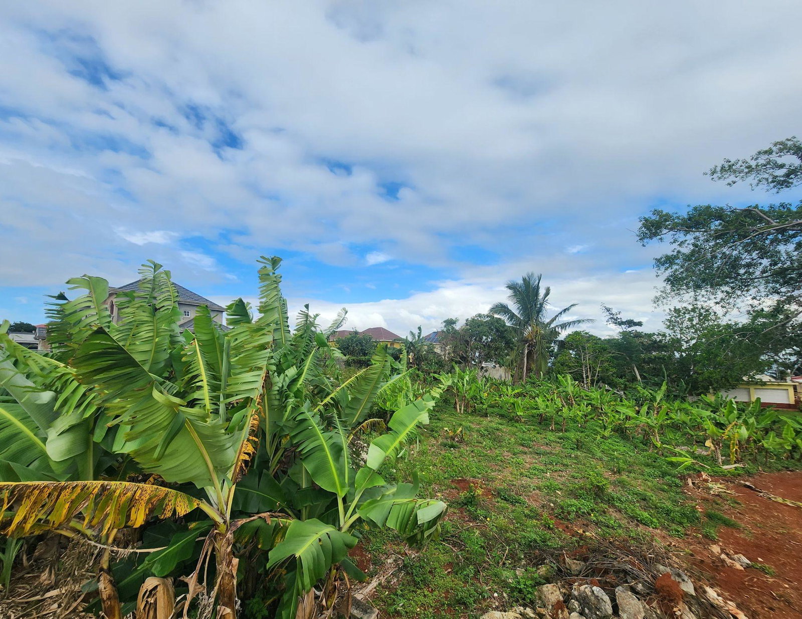 Fifth image of 53 Avondale Heights in Cedar Grove, Manchester, Jamaica - property is For Sale