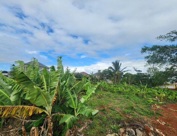 Fifth image of 53 Avondale Heights in Cedar Grove, Manchester, Jamaica - property is For Sale