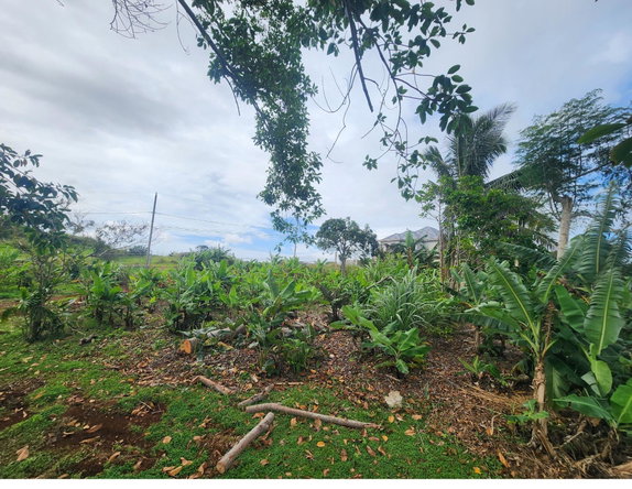 Sixth image of 53 Avondale Heights in Cedar Grove, Manchester, Jamaica - property is For Sale