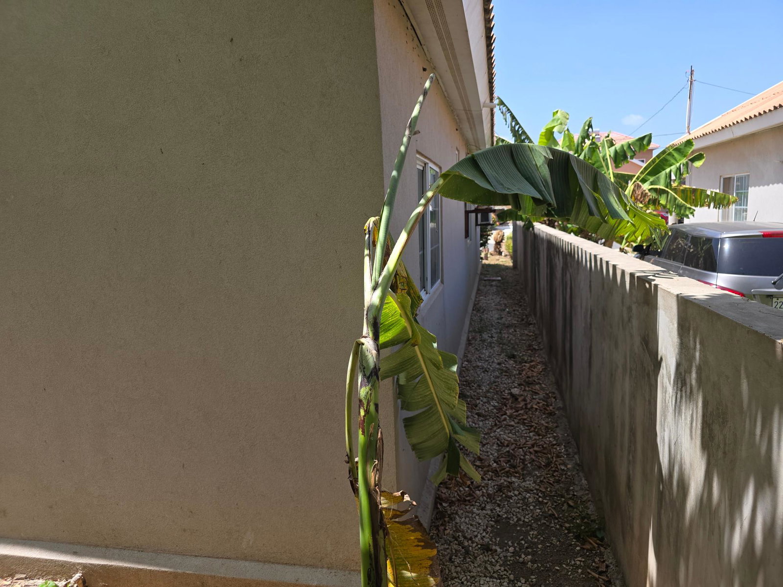 Twenty-Seventh image of Caribbean Estate in Caribbean Estates, St. Catherine, Jamaica - property is For Sale