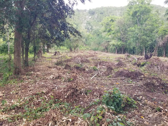 Fourth image of Old Porus , Manchester in Porus, Manchester, Jamaica - property is For Sale