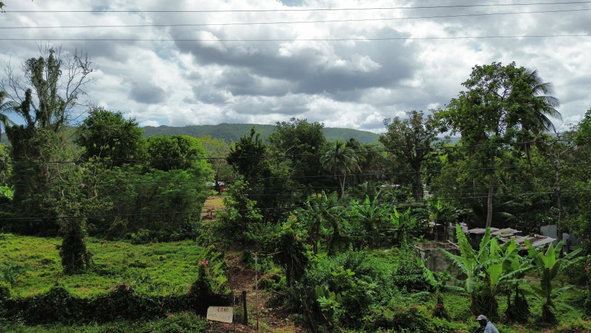 Fifth image of Old Porus , Manchester in Porus, Manchester, Jamaica - property is For Sale