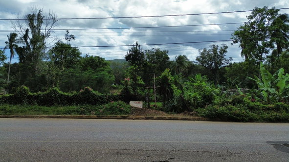 Sixth image of Old Porus , Manchester in Porus, Manchester, Jamaica - property is For Sale