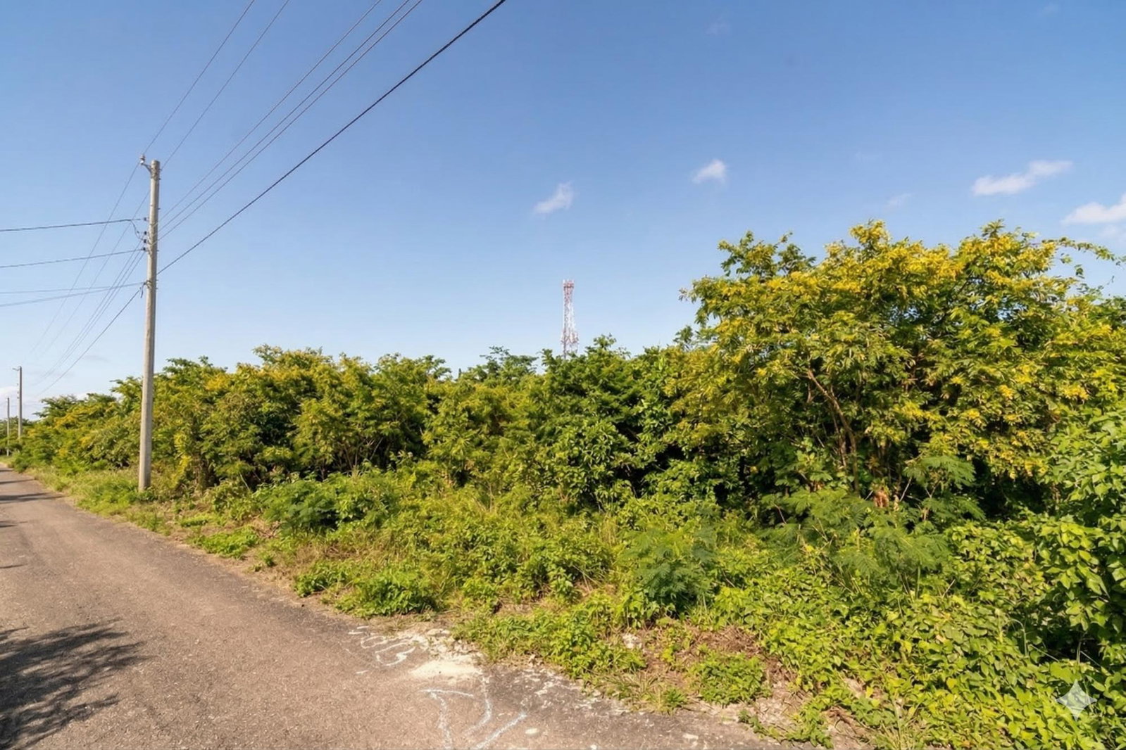 First image of Part of Huddersfield in Tower Isle, St. Mary, Jamaica - property is For Sale