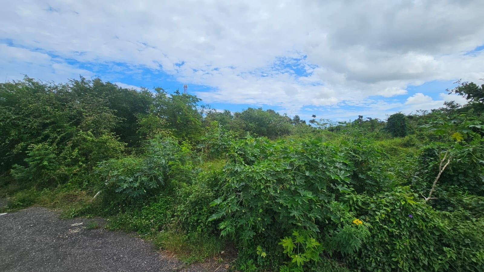 Eleventh image of Part of Huddersfield in Tower Isle, St. Mary, Jamaica - property is For Sale