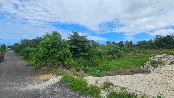 Thirteenth image of Part of Huddersfield in Tower Isle, St. Mary, Jamaica - property is For Sale