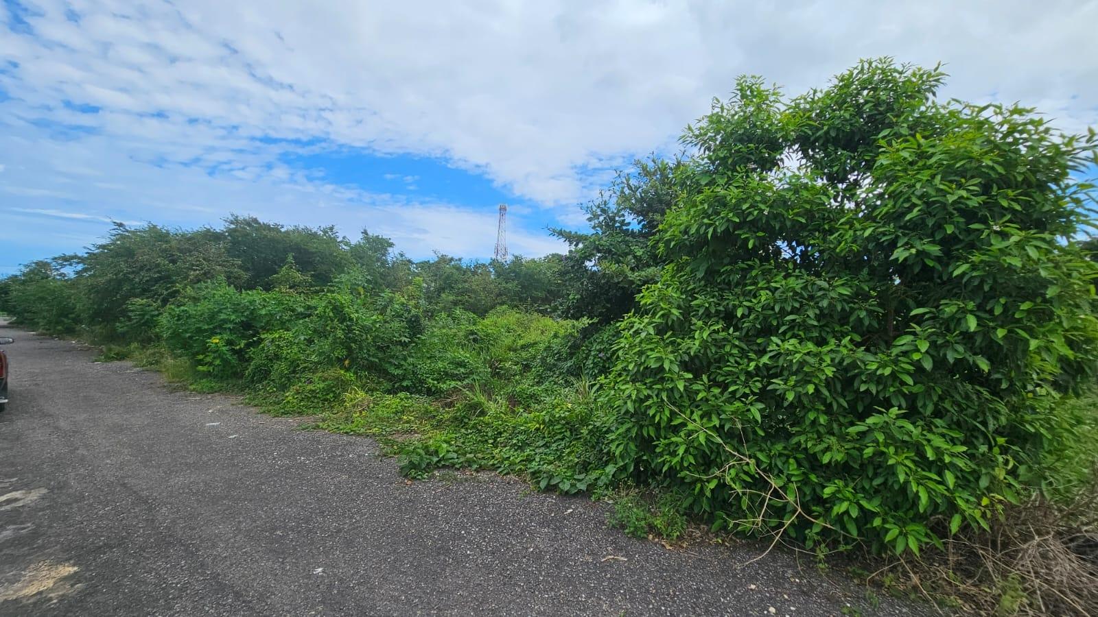 Fourteenth image of Part of Huddersfield in Tower Isle, St. Mary, Jamaica - property is For Sale