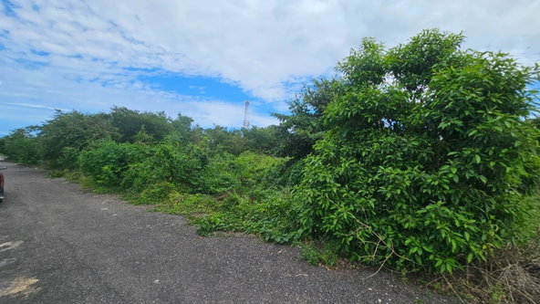 Fourteenth image of Part of Huddersfield in Tower Isle, St. Mary, Jamaica - property is For Sale