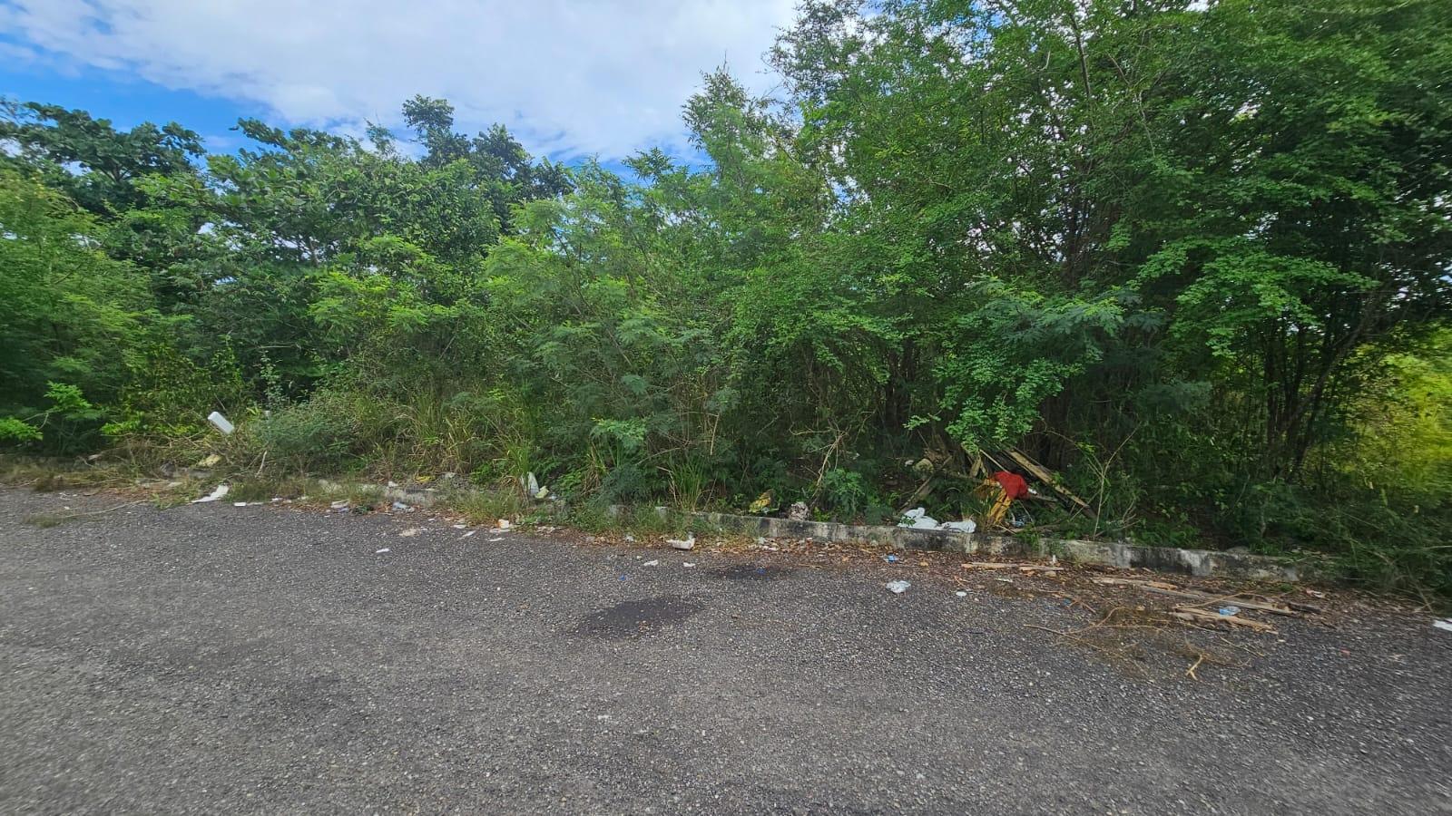 Fifteenth image of Part of Huddersfield in Tower Isle, St. Mary, Jamaica - property is For Sale