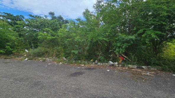 Fifteenth image of Part of Huddersfield in Tower Isle, St. Mary, Jamaica - property is For Sale