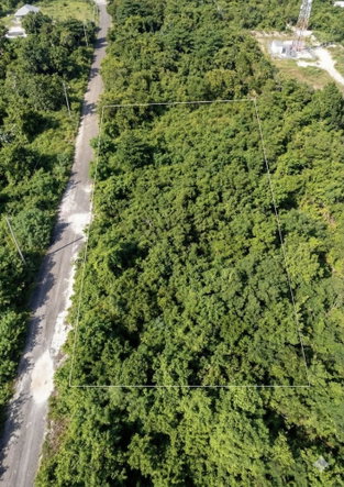 Third image of Part of Huddersfield in Tower Isle, St. Mary, Jamaica - property is For Sale