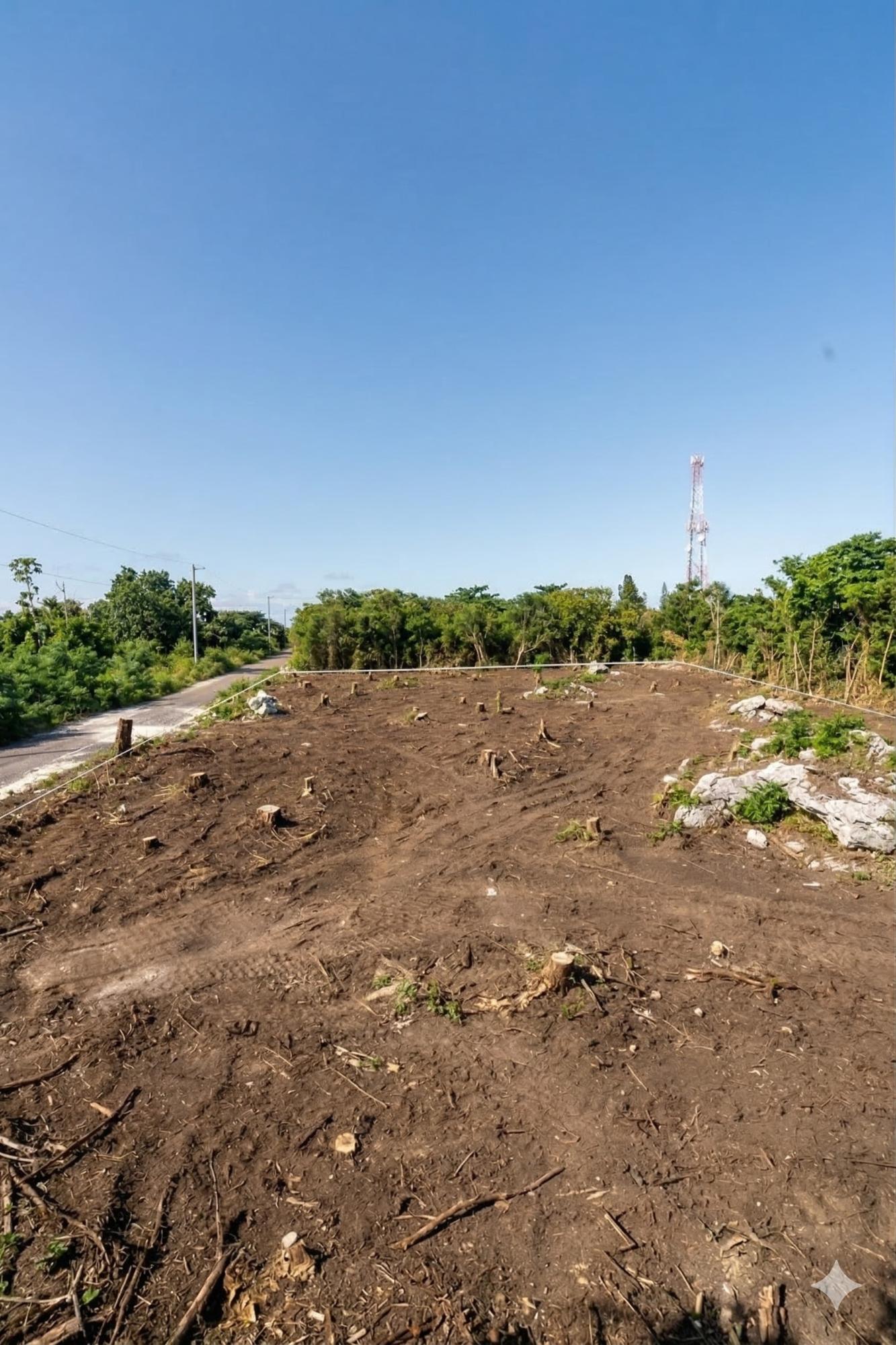 Sixth image of Part of Huddersfield in Tower Isle, St. Mary, Jamaica - property is For Sale