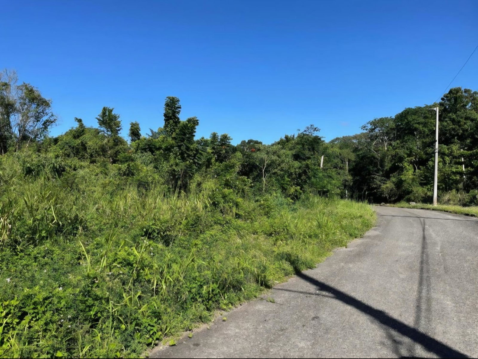 Eighth image of Part of Huddersfield in Tower Isle, St. Mary, Jamaica - property is For Sale