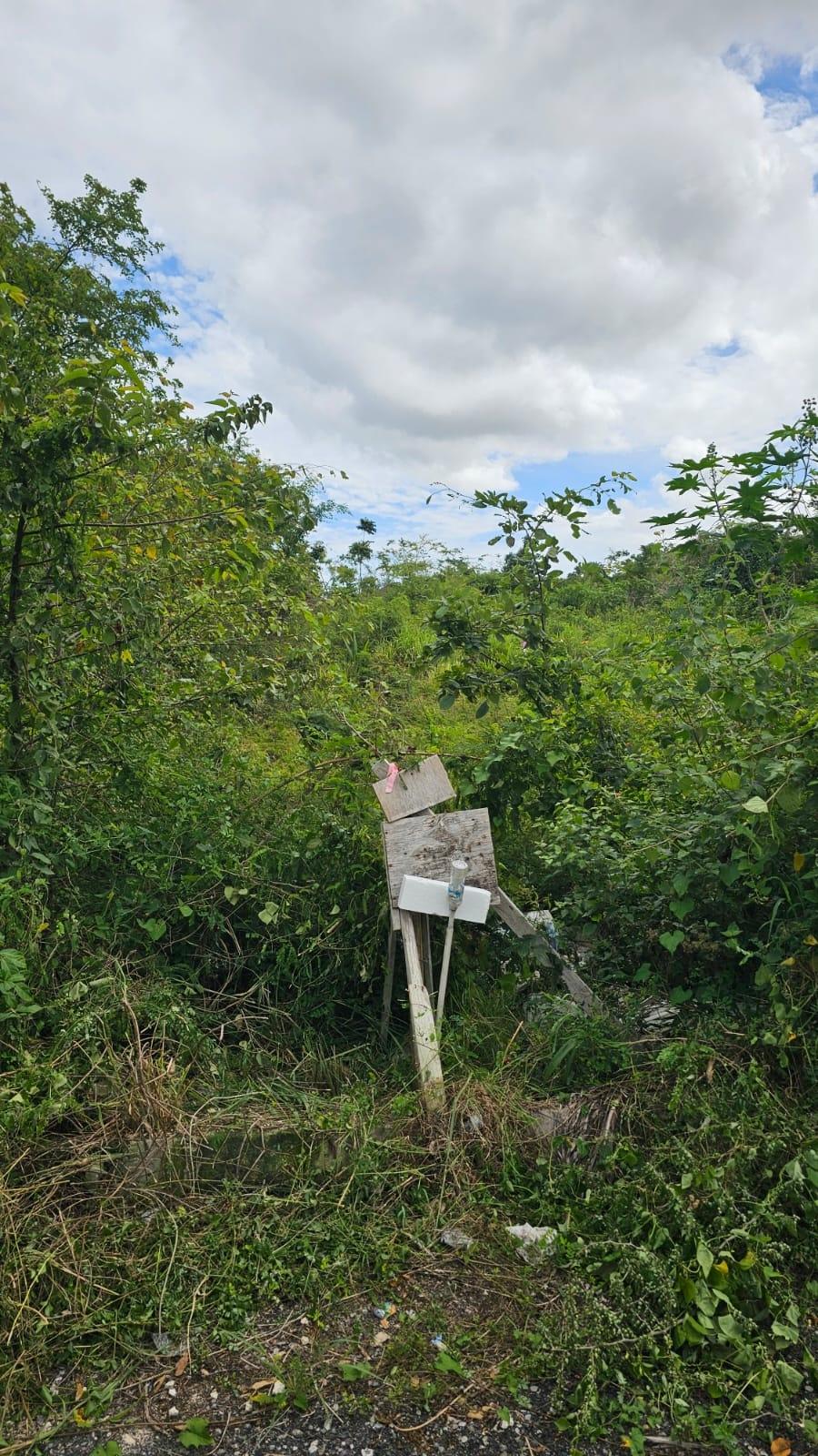 Ninth image of Part of Huddersfield in Tower Isle, St. Mary, Jamaica - property is For Sale