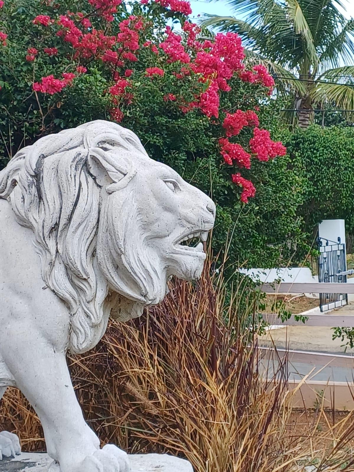 Fifteenth image of 59 Bretts Cres, Jago Heights in Spanish Town, St. Catherine, Jamaica - property is For Sale