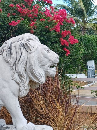 Fifteenth image of 59 Bretts Cres, Jago Heights in Spanish Town, St. Catherine, Jamaica - property is For Sale