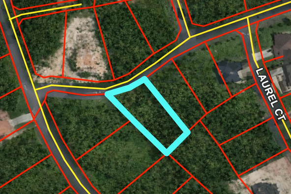 Third image of Moorlands Estate in Mooreland, Manchester, Jamaica - property is For Sale