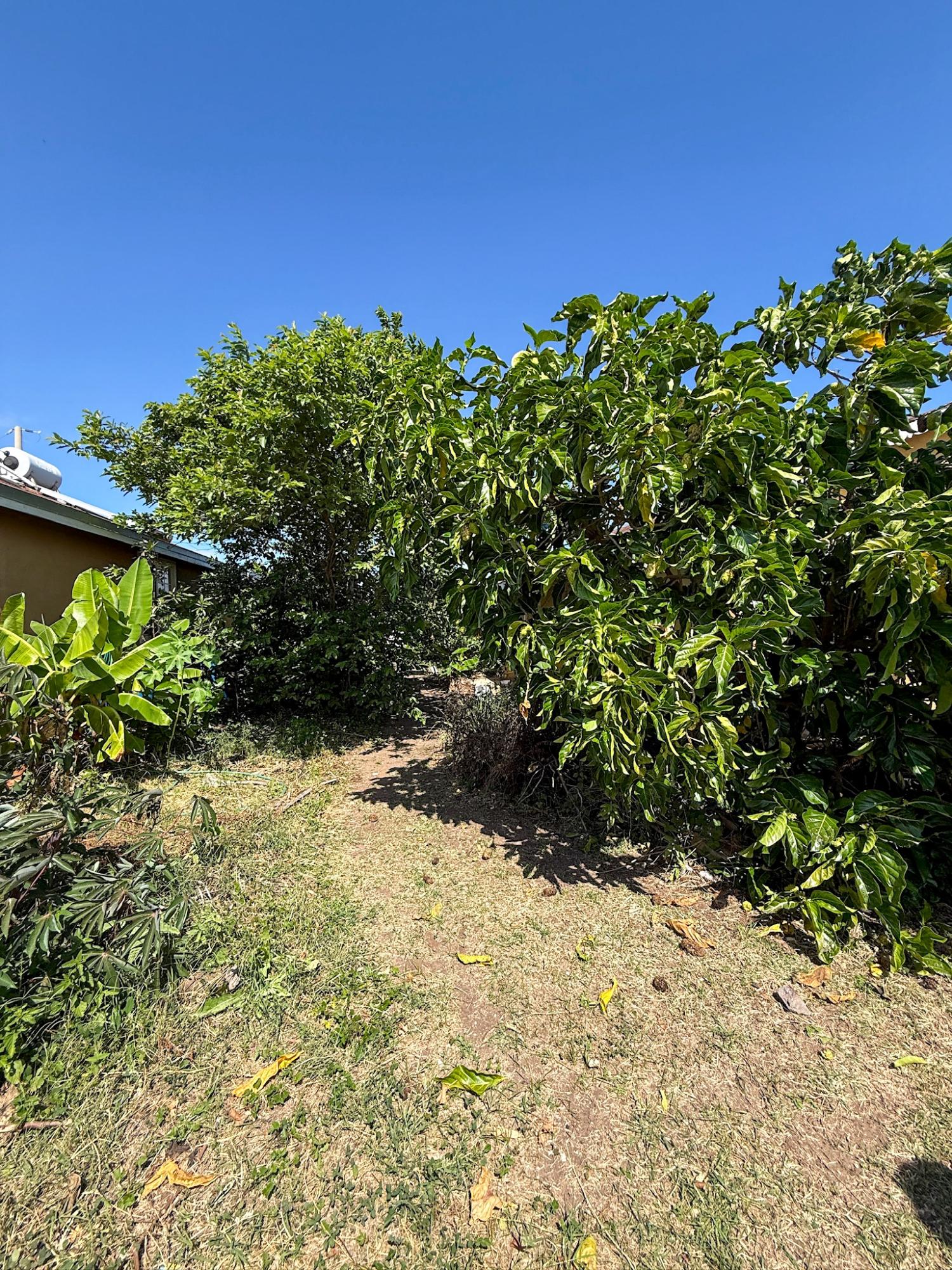 Eighteenth image of 322-13 Pearl St, New Harbour Vil in New Harbour Village, St. Catherine, Jamaica - property is For Sale