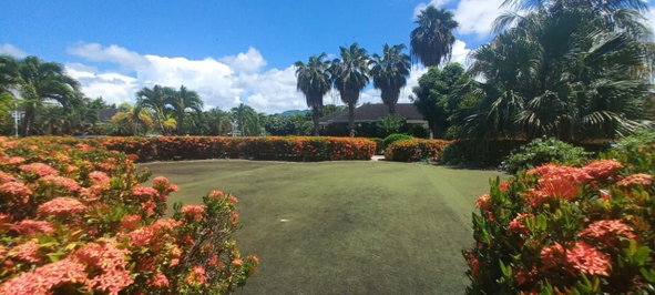 Thirteenth image of 28 Hibiscus Drive, Richmond in Richmond, St. Ann, Jamaica - property is For Sale