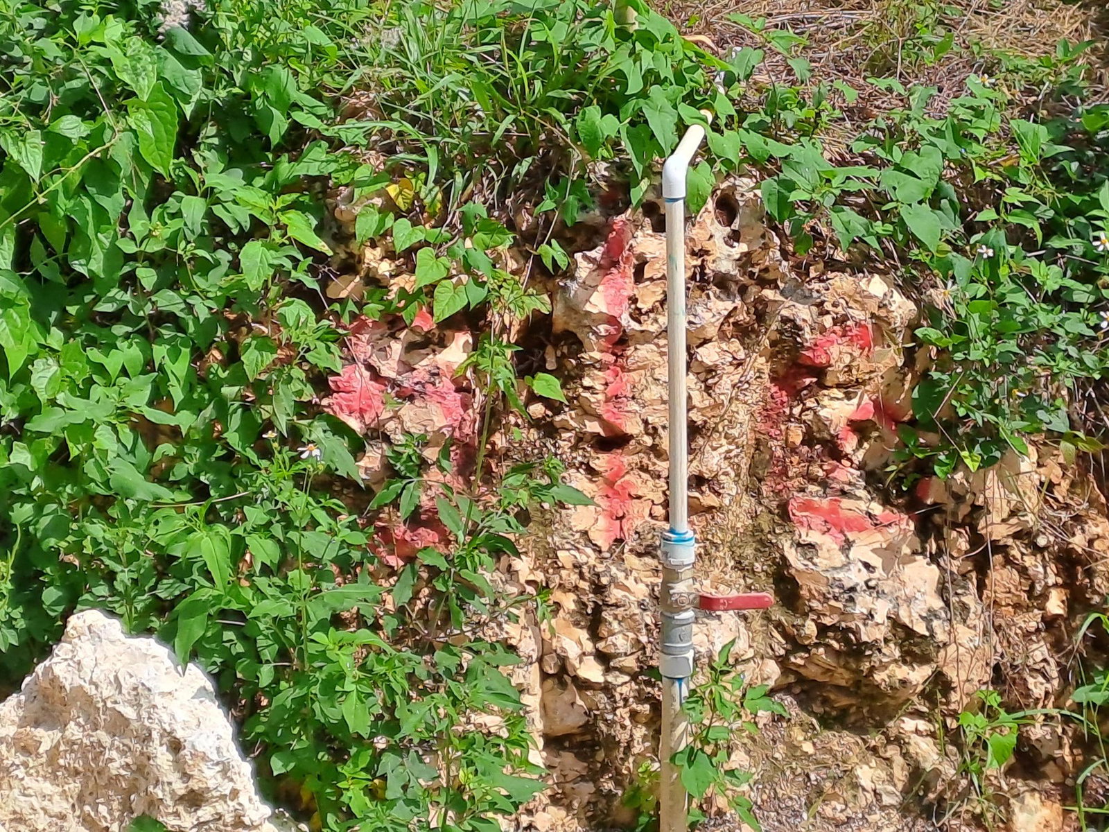 Third image of Lot 6- Part of Three Hills in Three Hills, St. Mary, Jamaica - property is For Sale