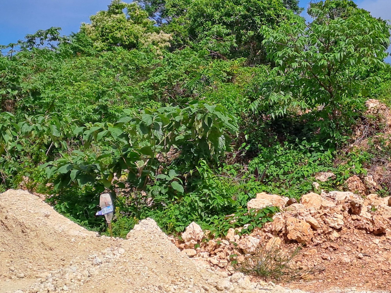Fifth image of Lot 6- Part of Three Hills in Three Hills, St. Mary, Jamaica - property is For Sale