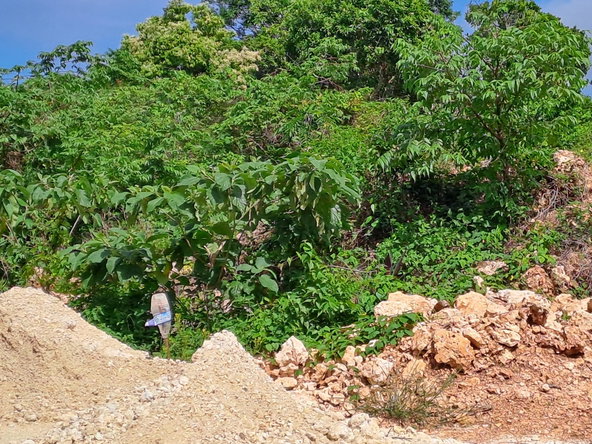 Fifth image of Lot 6- Part of Three Hills in Three Hills, St. Mary, Jamaica - property is For Sale