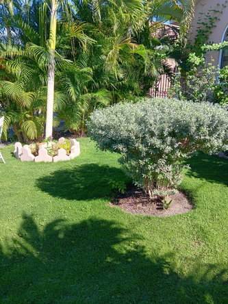 Ninth image of B39-39 Martinique Boulevard, Car in Caribbean Estates, St. Catherine, Jamaica - property is For Sale