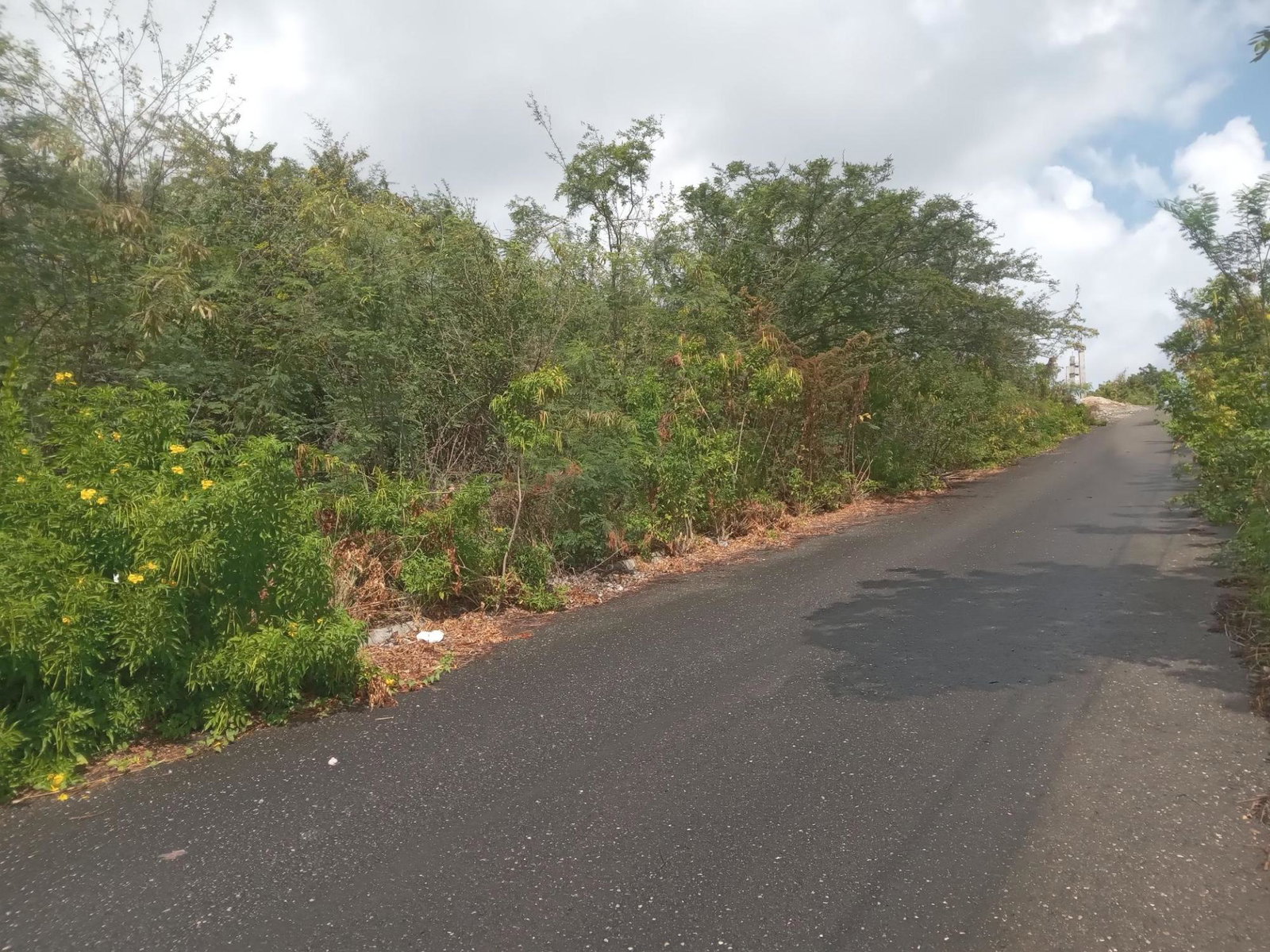 Thirteenth image of Captain Bligh Road in WHITE HORSES, St. Thomas, Jamaica - property is For Sale