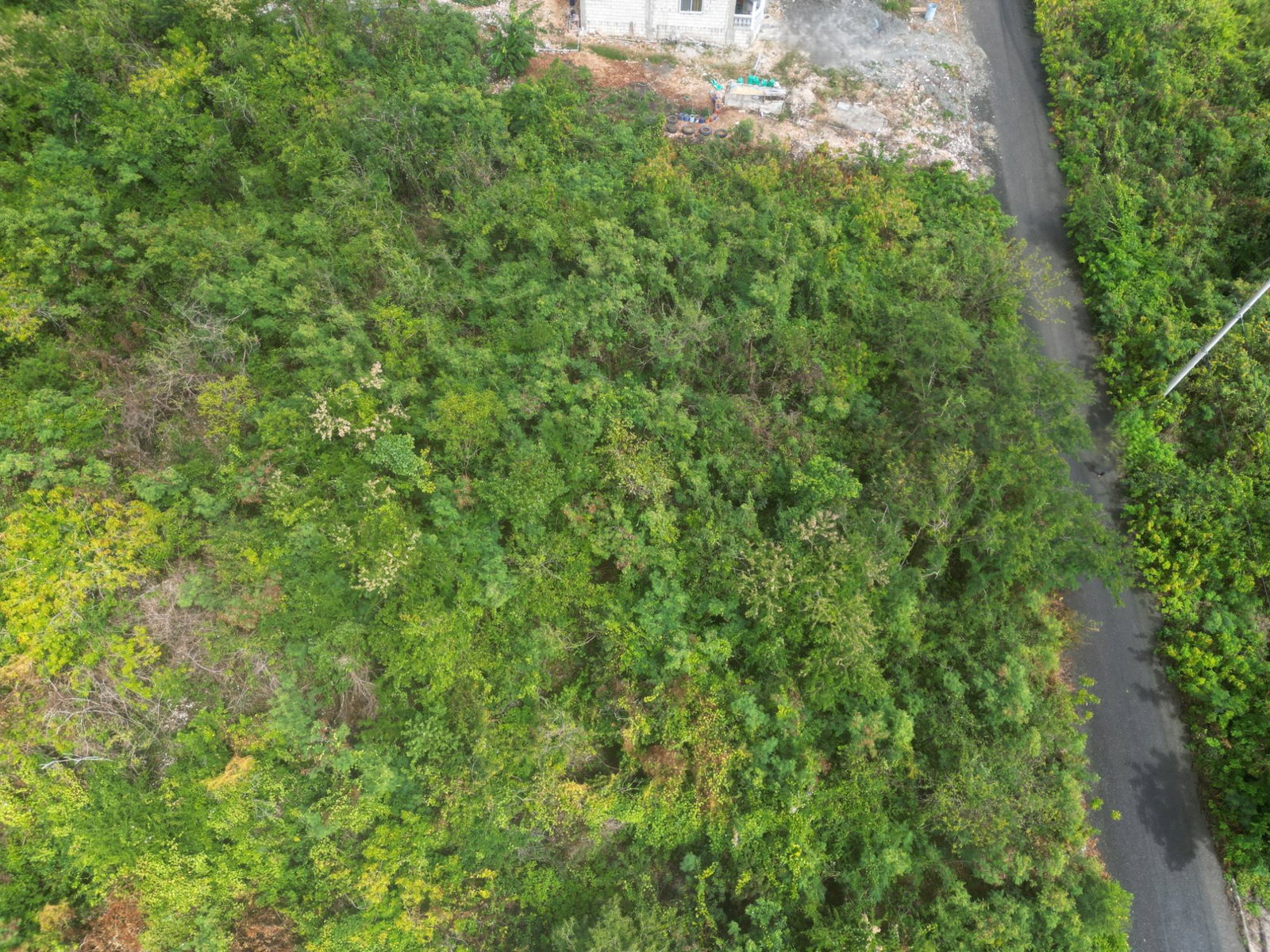 Sixth image of Captain Bligh Road in WHITE HORSES, St. Thomas, Jamaica - property is For Sale