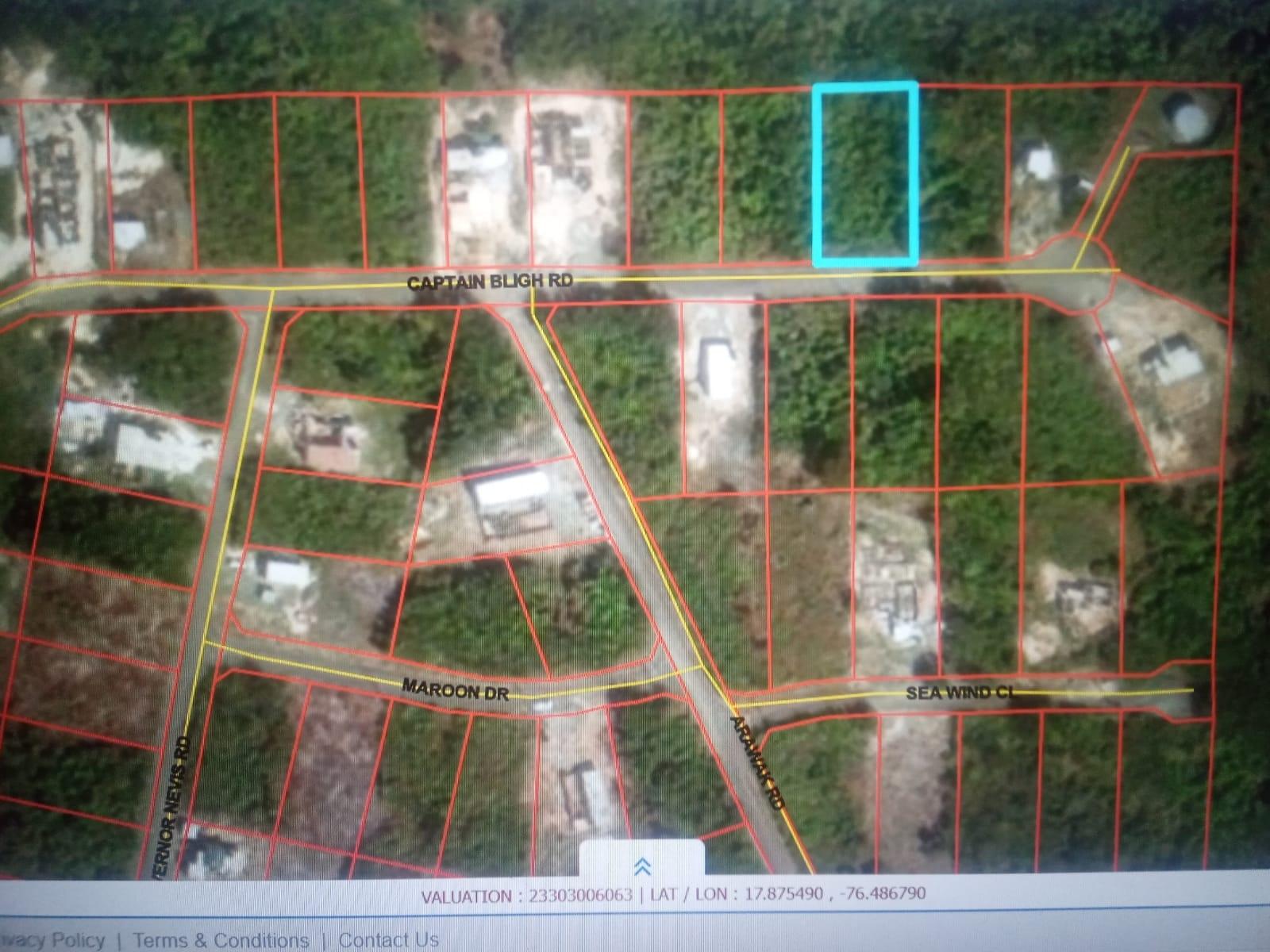 Seventh image of Captain Bligh Road in WHITE HORSES, St. Thomas, Jamaica - property is For Sale