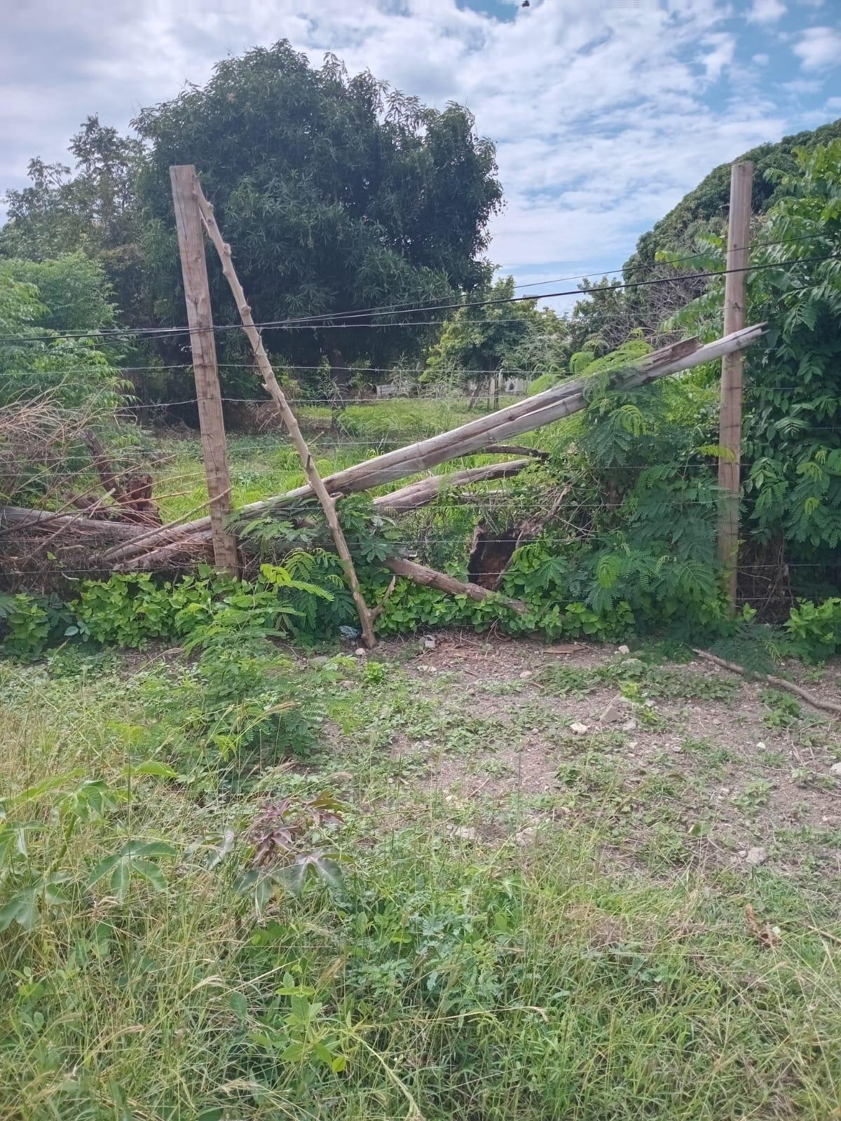 Fourth image of 705 Barrant Drive, Albion, st in Albion Estate, St. Thomas, Jamaica - property is For Sale