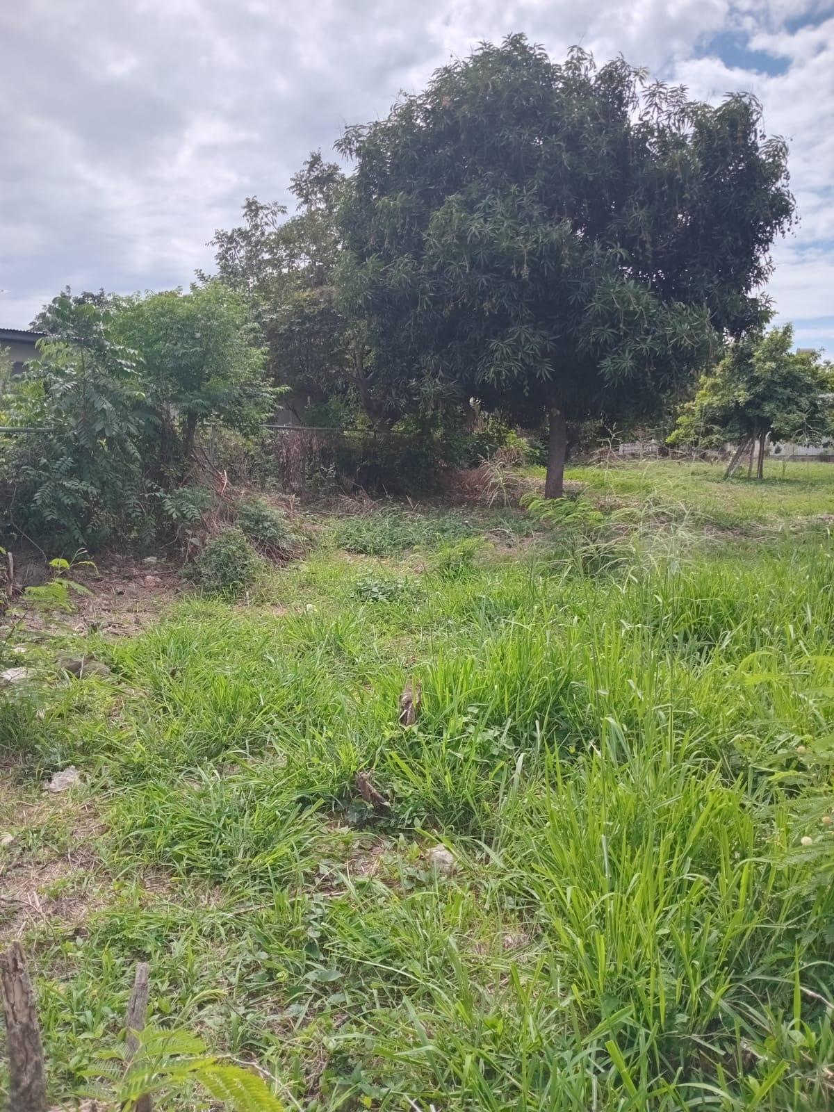 Sixth image of 705 Barrant Drive, Albion, st in Albion Estate, St. Thomas, Jamaica - property is For Sale