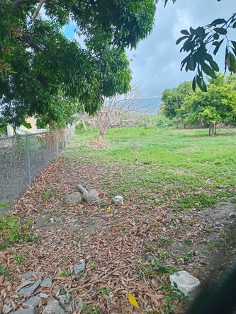 Seventh image of 705 Barrant Drive, Albion, st in Albion Estate, St. Thomas, Jamaica - property is For Sale