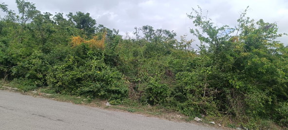 Third image of Salt Spring, Montego Bay in Montego Hills, St. James, Jamaica - property is For Sale