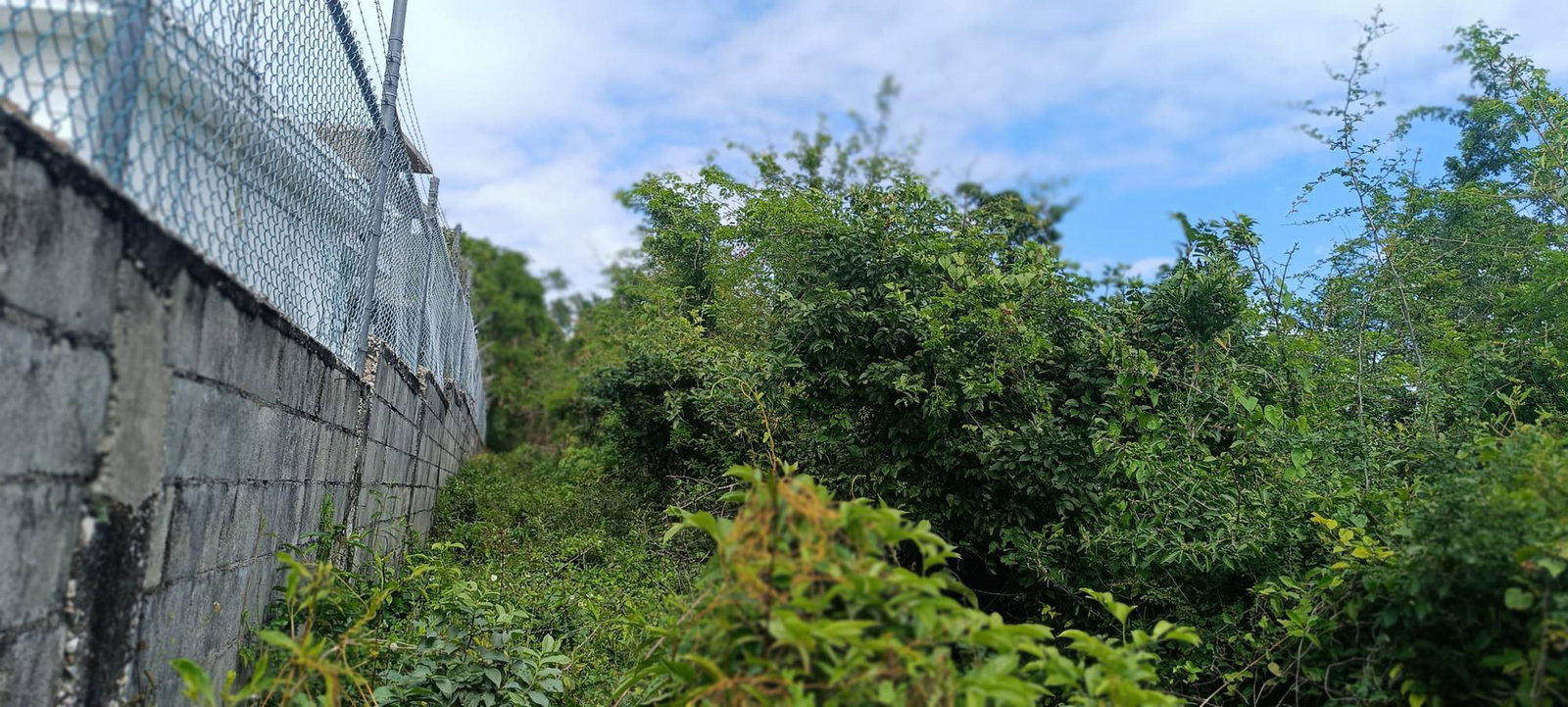 Fifth image of Salt Spring, Montego Bay in Montego Hills, St. James, Jamaica - property is For Sale