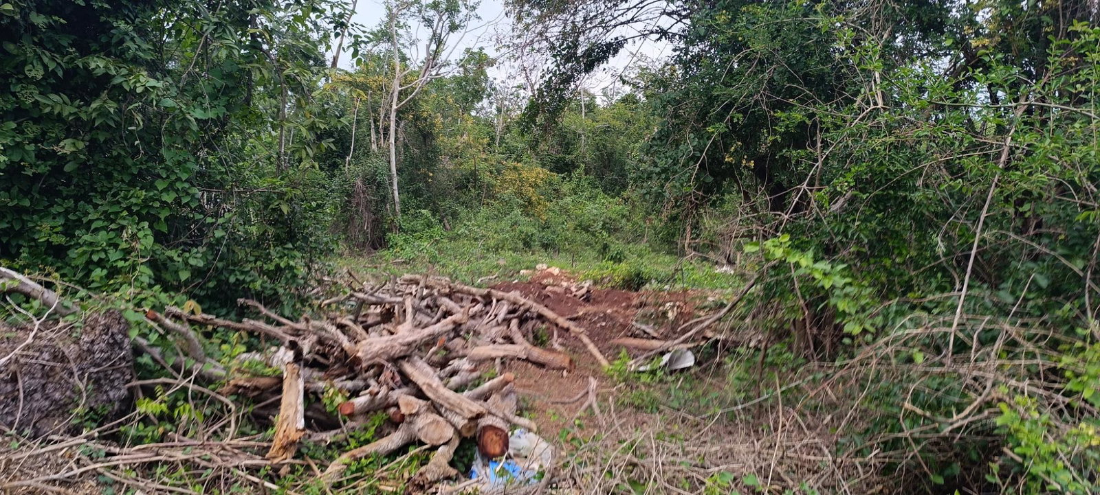 Sixth image of Salt Spring, Montego Bay in Montego Hills, St. James, Jamaica - property is For Sale