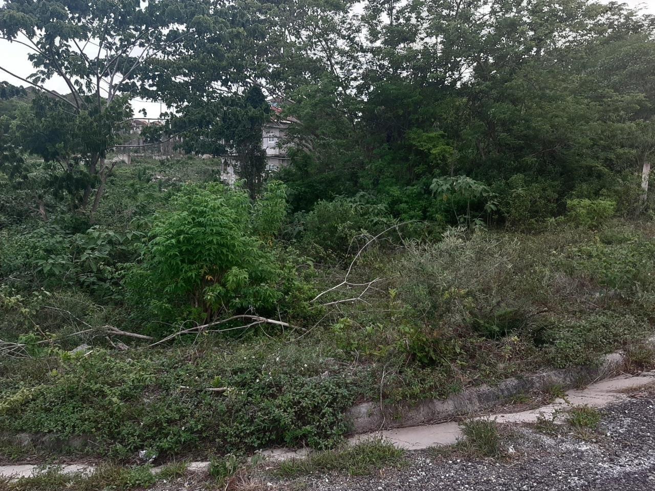 Second image of 1038 White Hall, Negril Westmo in Whitehall, Westmoreland, Jamaica - property is For Sale