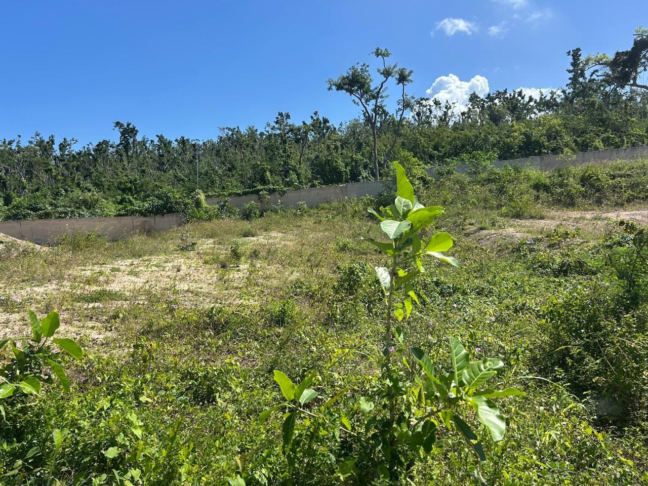 Tenth image of Lot 459 Camelot Village in Discovery Bay, St. Ann, Jamaica - property is For Sale